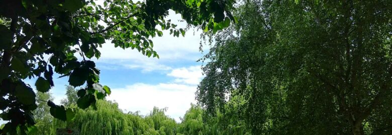 Willows Park and Marina