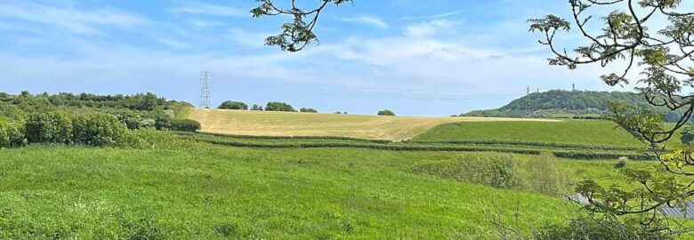 Sandy Bed Lane Campsite